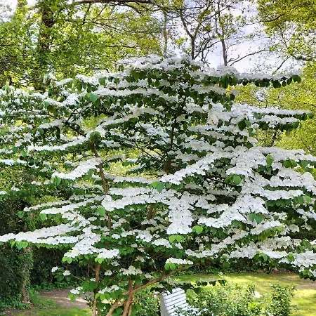 Le Moulin De Bed & Breakfast