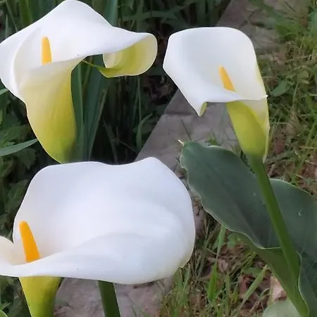 Le Moulin De Bed & Breakfast