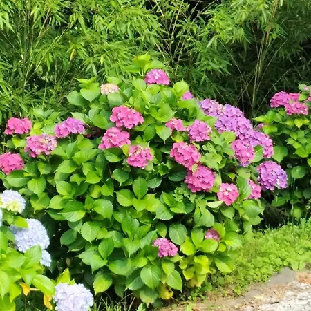 Bed & Breakfast Le Moulin De