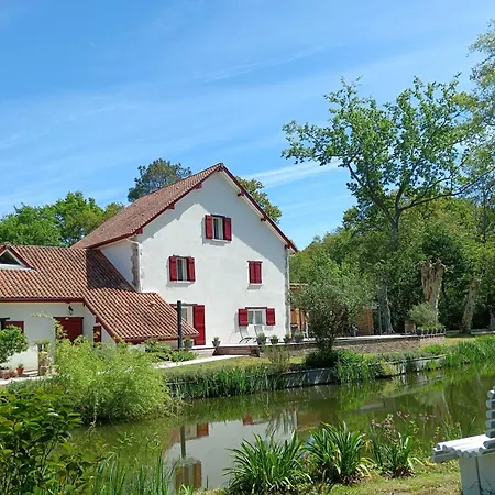 Bed and breakfast Le Moulin De Saubrigues