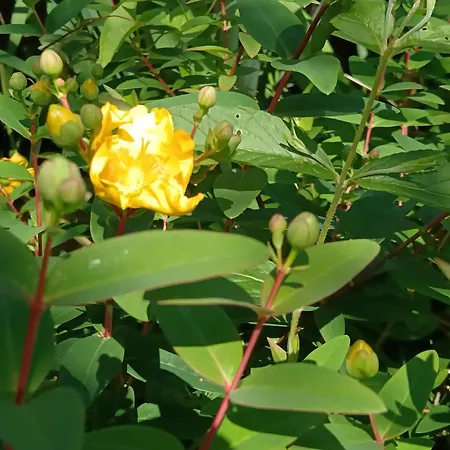 Le Moulin De Couette-café 3*