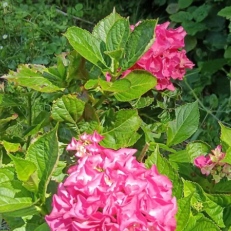 Le Moulin De Bed and breakfast