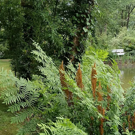 Le Moulin De Bed & Breakfast 3*