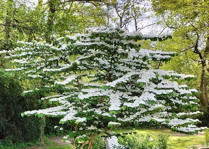 Le Moulin De Couette-café