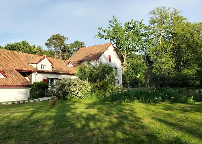 Le Moulin De Saubrigues