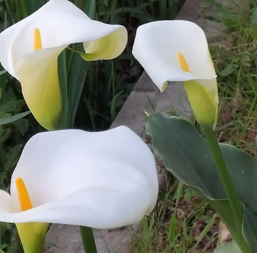 Le Moulin De Nocleg ze śniadaniem