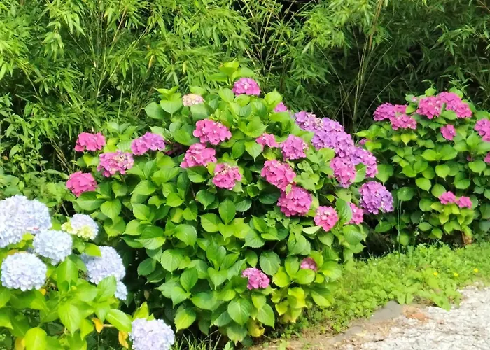 Nocleg ze śniadaniem Le Moulin De