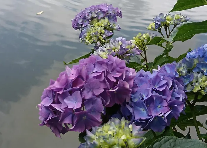 Le Moulin De 3* Saubrigues