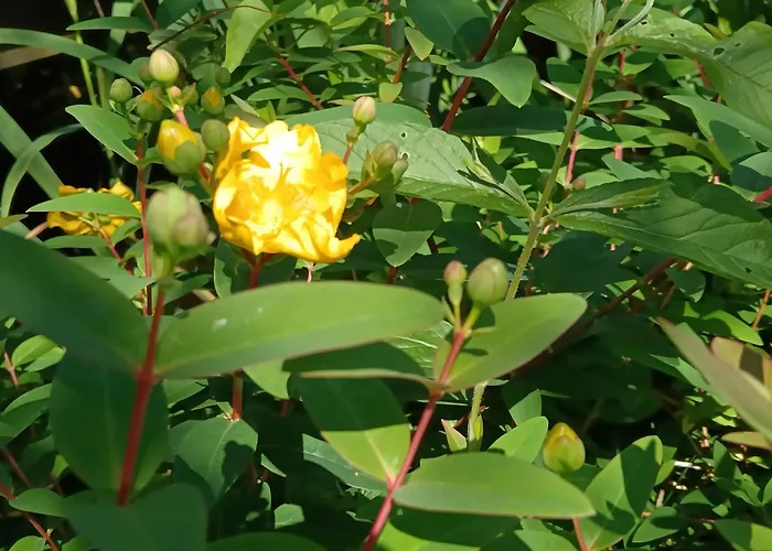 Le Moulin De Couette-café 3*