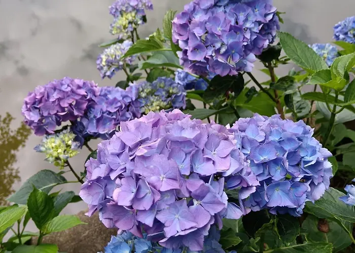 Couette-café Le Moulin De 3*