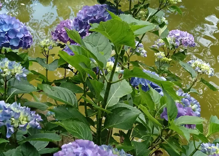 Couette-café Le Moulin De Saubrigues