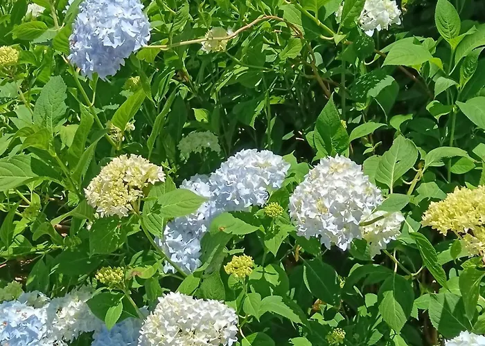 Le Moulin De 3* Saubrigues