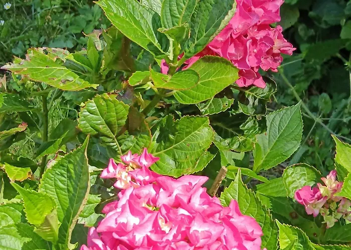 Le Moulin De 住宿加早餐酒店