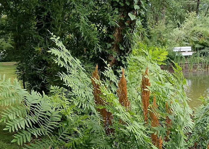 Le Moulin De 住宿加早餐酒店 3*