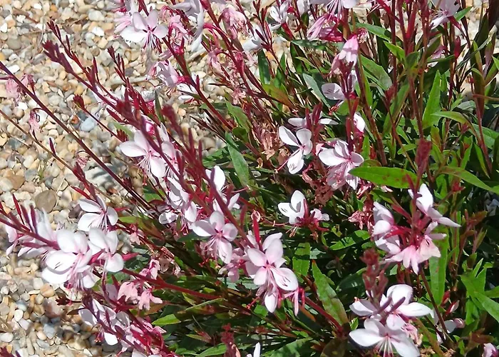 住宿加早餐酒店 Le Moulin De 3*